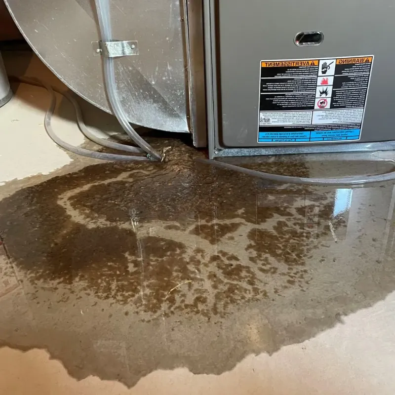 Pipe Burst and Leak Restoration in Bluffton, IN