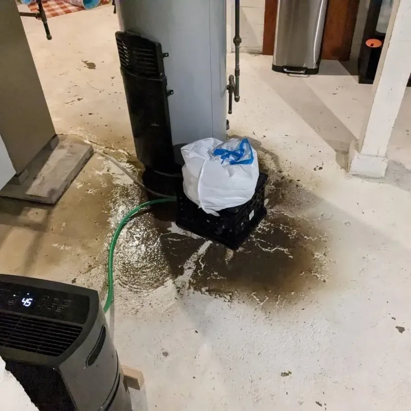 Sewage Backup Cleanup Service in Bluffton, IN